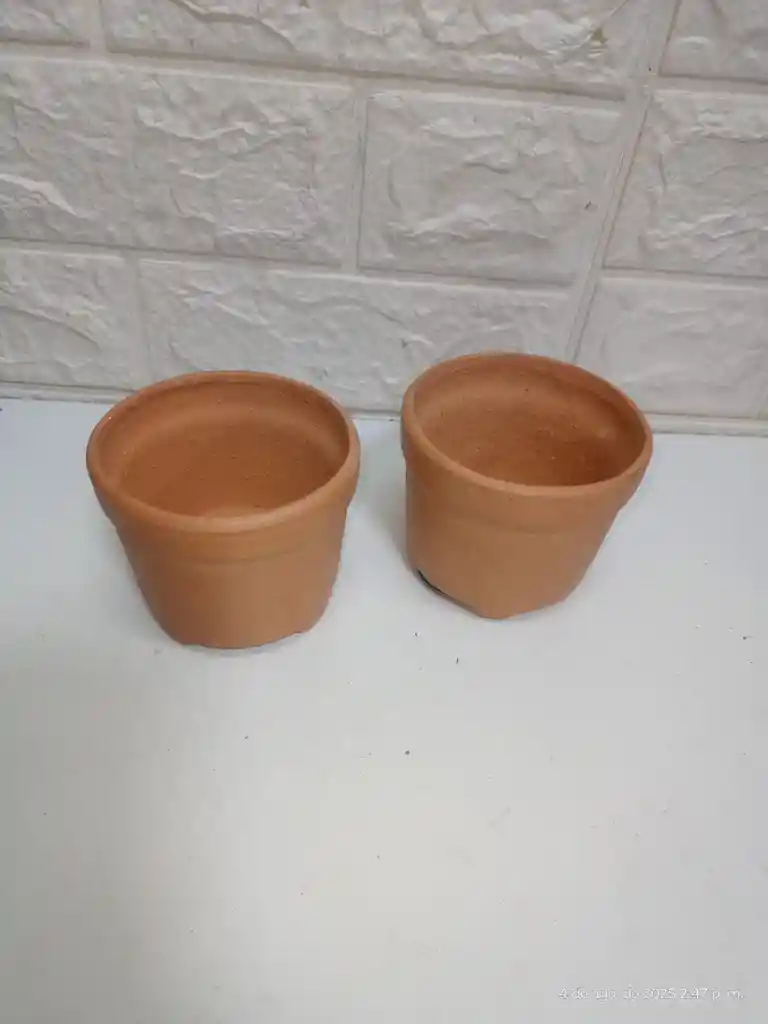 Maceta Hexagonal O Redonda Terracota Grande