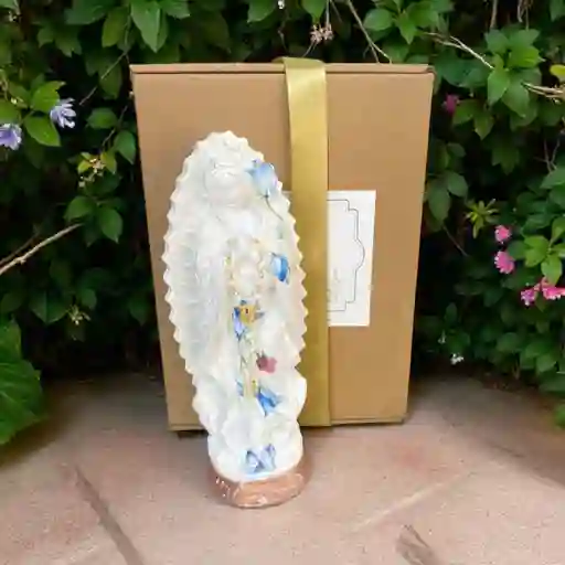 Virgen Guadalupe Azul Y Denario