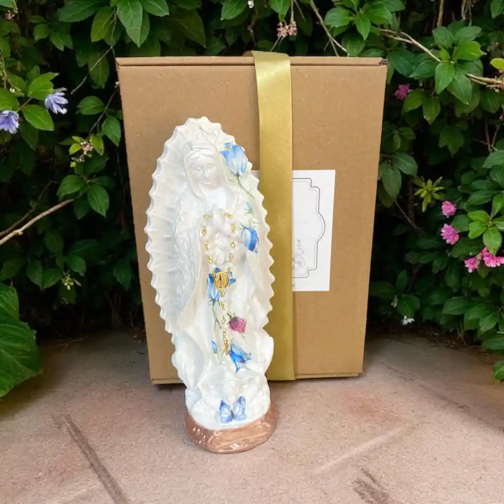 Virgen Guadalupe Azul Y Denario