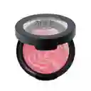 Anik Rubor Mineralizado Tono 01 Sweet