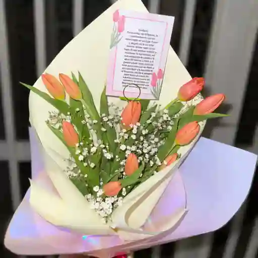 Tulipanes Luxury