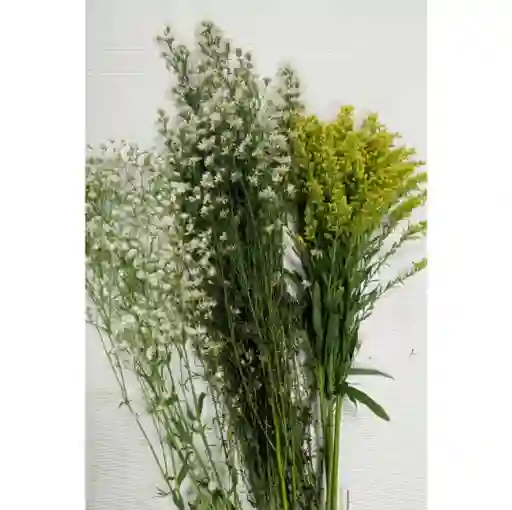 Gipso, Aster Blanco Y Solidago Para Follaje
