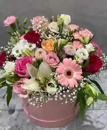 🌺 Caja “brisa Tropical”