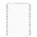 Cuaderno Vertical Primavera Arg Masculino Cuadriculado