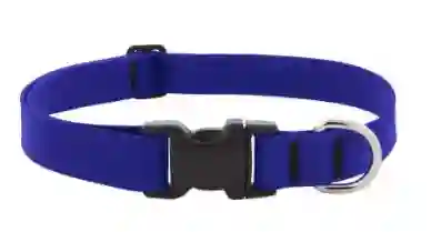 Collar A Prueba De Agua Azul Splash