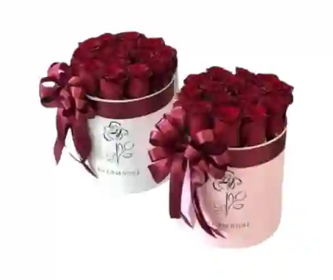 Hermoso Cilindro De Rosas
