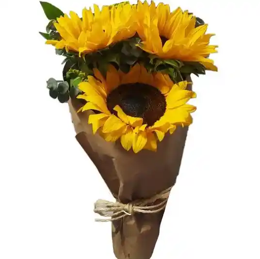 Ramo O Bouquet De 3 Girasoles