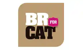 Br For Cat Castrados Salmon 1 Kg