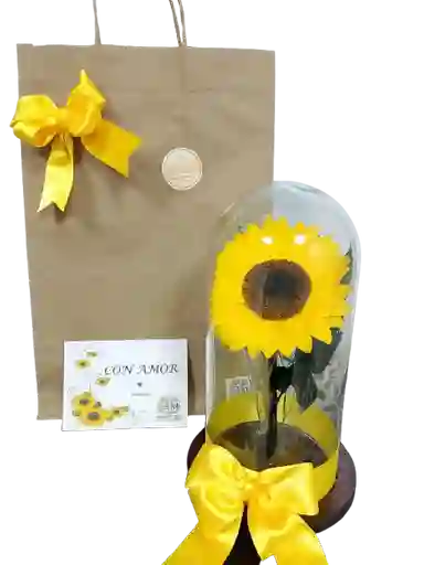 Girasol Encantado