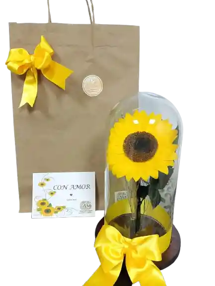 Girasol Encantado