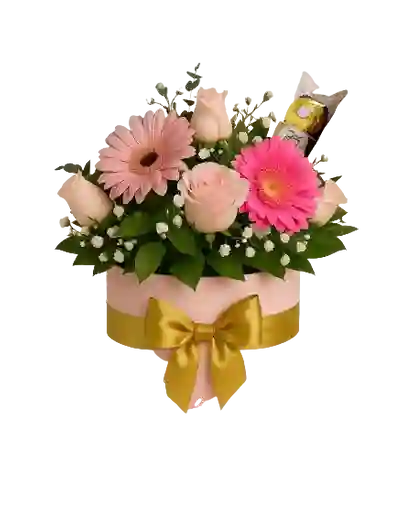 Rosa Rosa Caja