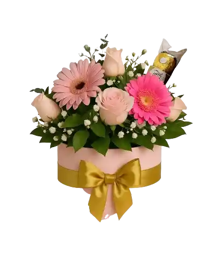 Rosa Rosa Caja