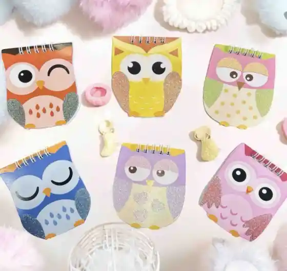 Mini Libreta Argolla Búhos