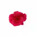Pinza Clip Flor Rosa Hawaiana Para Pelo Cabello Set X 2 Und