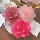 Pinza Clip Flor Rosa Hawaiana Para Pelo Cabello Set X 2 Und