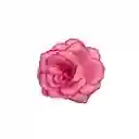 Pinza Clip Flor Rosa Hawaiana Para Pelo Cabello Set X 2 Und