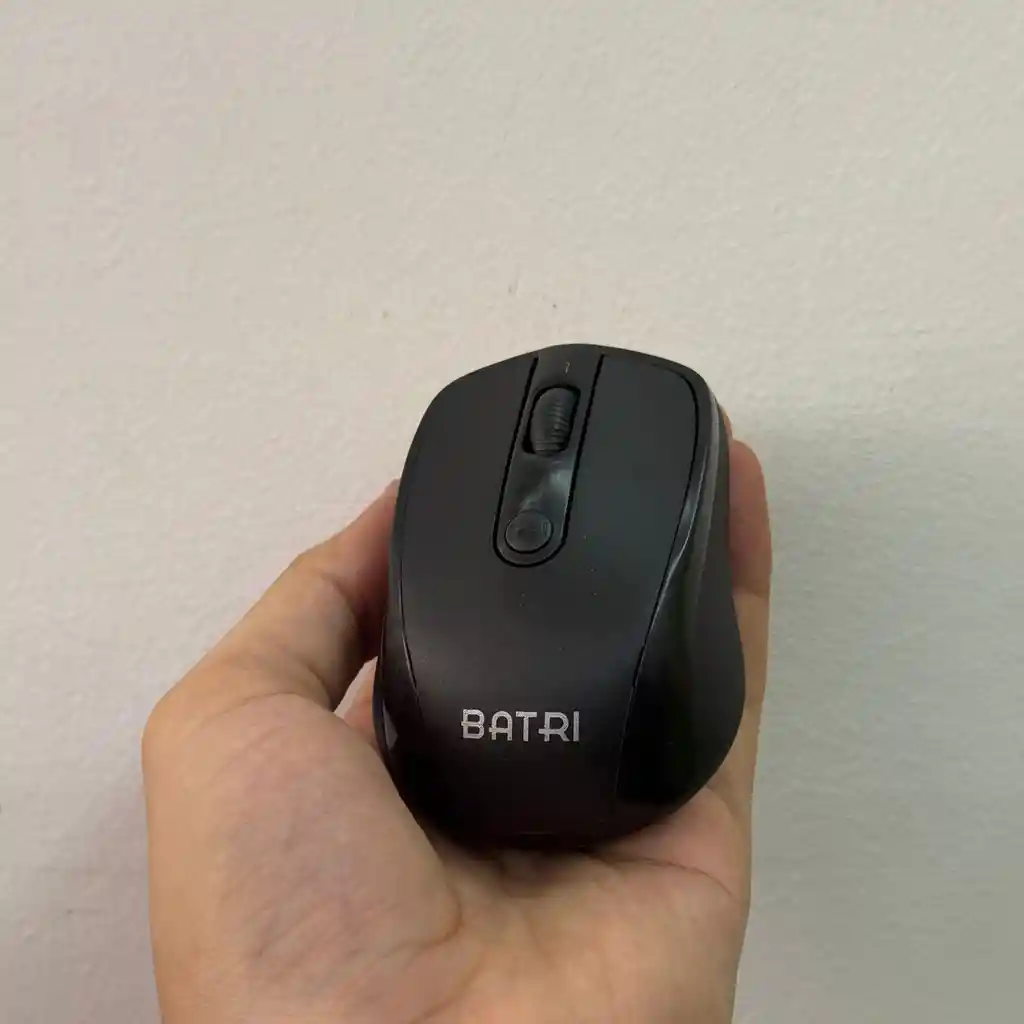 Mouse Inalambrico / Diseño Ergonomico / Receptor Usb / Batri
