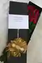 Bouquet Flores Varias