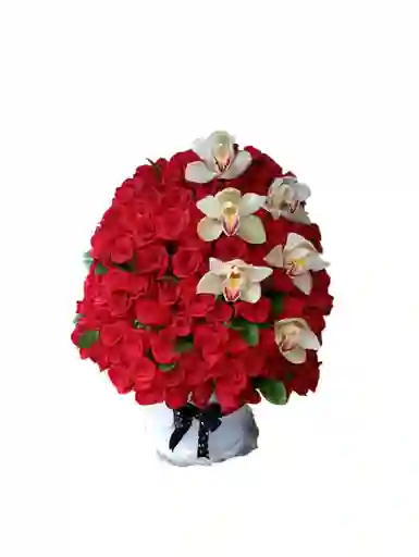 Ramo De 250 Rosas
