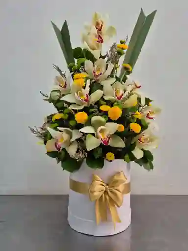 Caja De Orquideas Y Follajes Exoticas