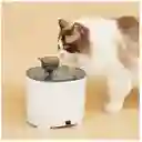 Fuente Inalámbrica De Agua Para Gatos