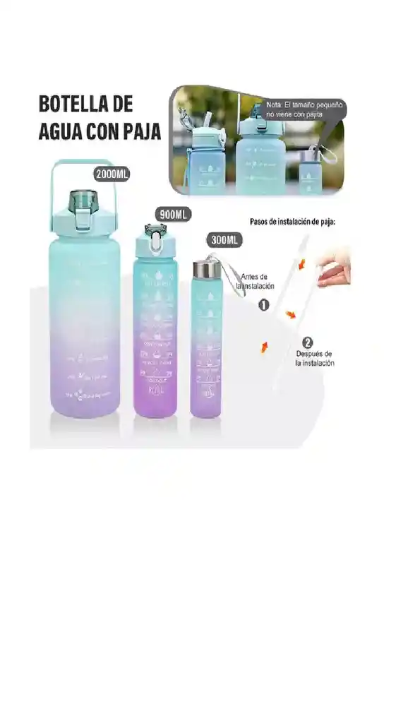 Set Termo Motivador Plástico Libre De Bpa 3 Piezas Deportivo Color Verde/morado