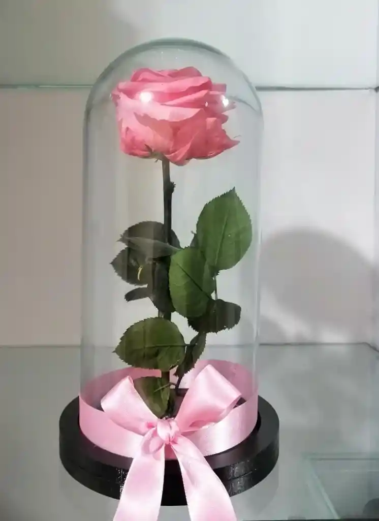Rosa Inmortalizada Rosada