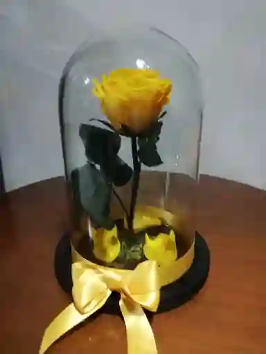 Rosa Inmortalizada Amarilla