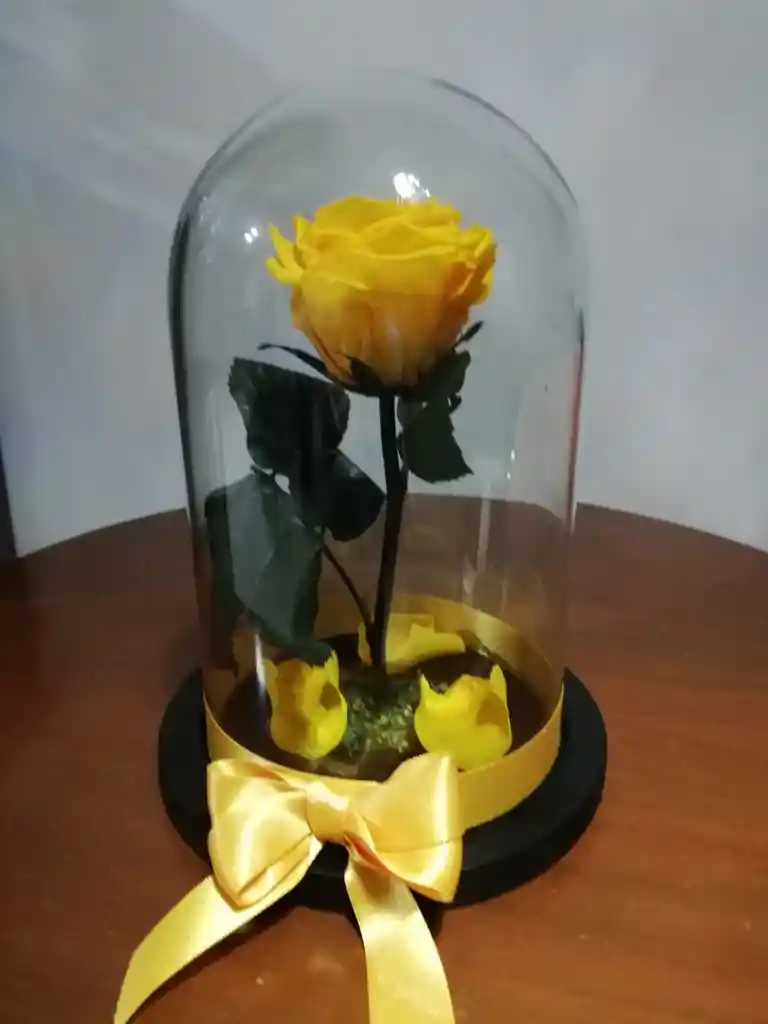 Rosa Inmortalizada Amarilla