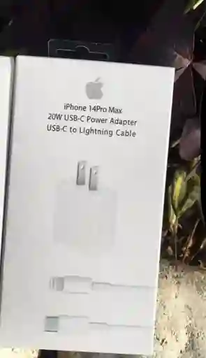 Cargador Iphone 20w
