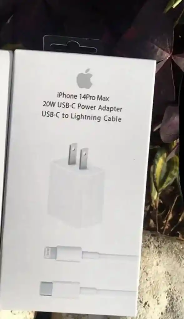 Cargador Iphone 20w
