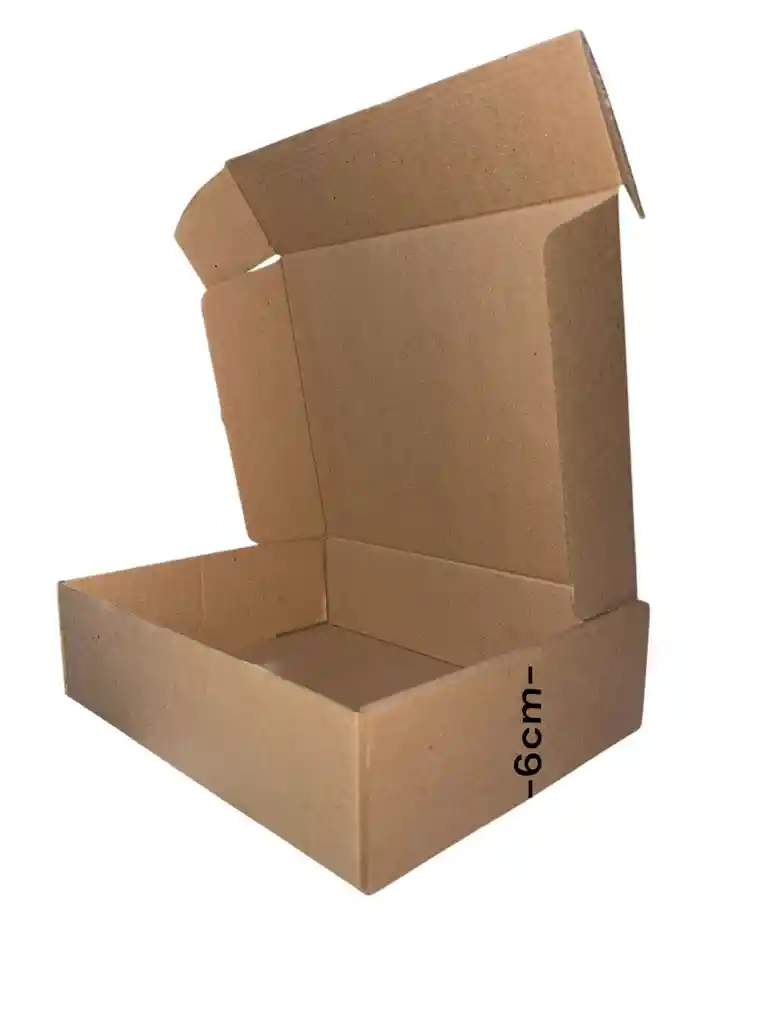 Caja Troquelada 25x19x6cm Plegable