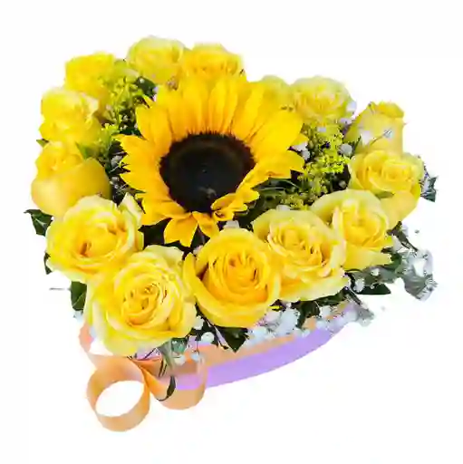 Caja De Rosas Sol