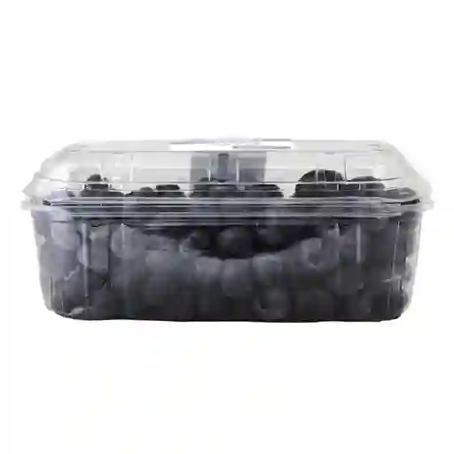 Arándano 500 G