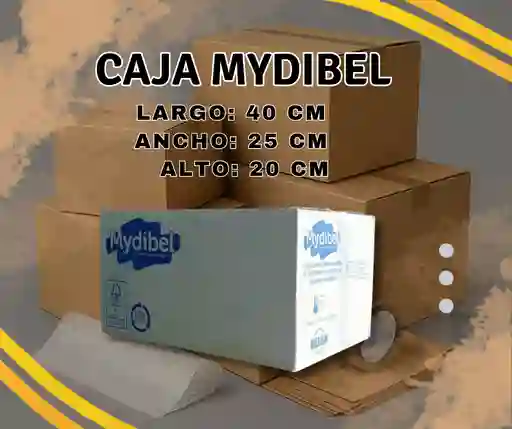 Caja Mydibel 40x25x20