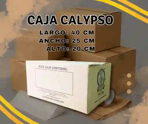 Caja Calypso 40x25x20