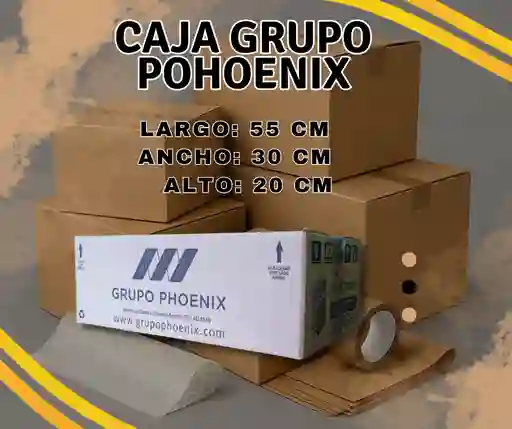 Caja Grupo Phoenix 55x30x20