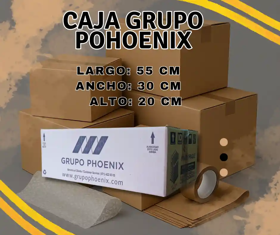 Caja Grupo Phoenix 55x30x20