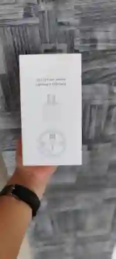 Cargador Completo Iphone 5w