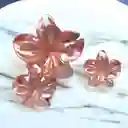 Trio Caiman De Flor