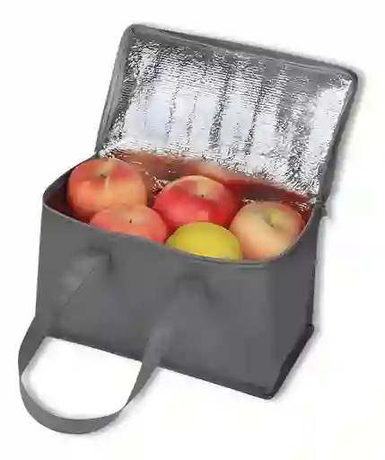 Bolso Lonchera Térmica Porta Comida Almuerzo Poliéster