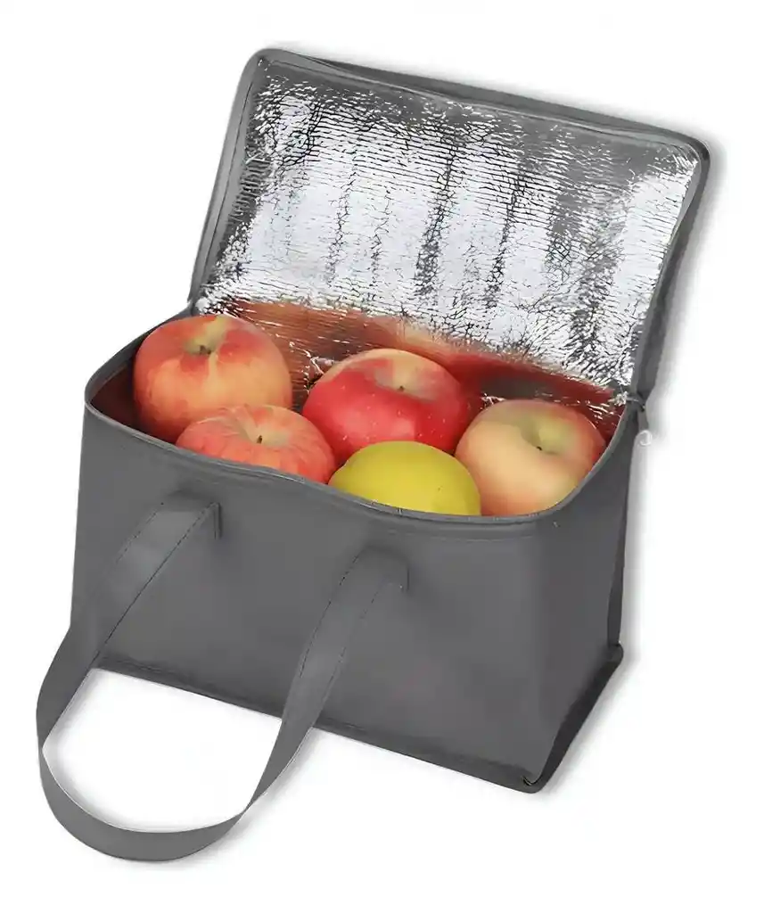 Bolso Lonchera Térmica Porta Comida Almuerzo Poliéster