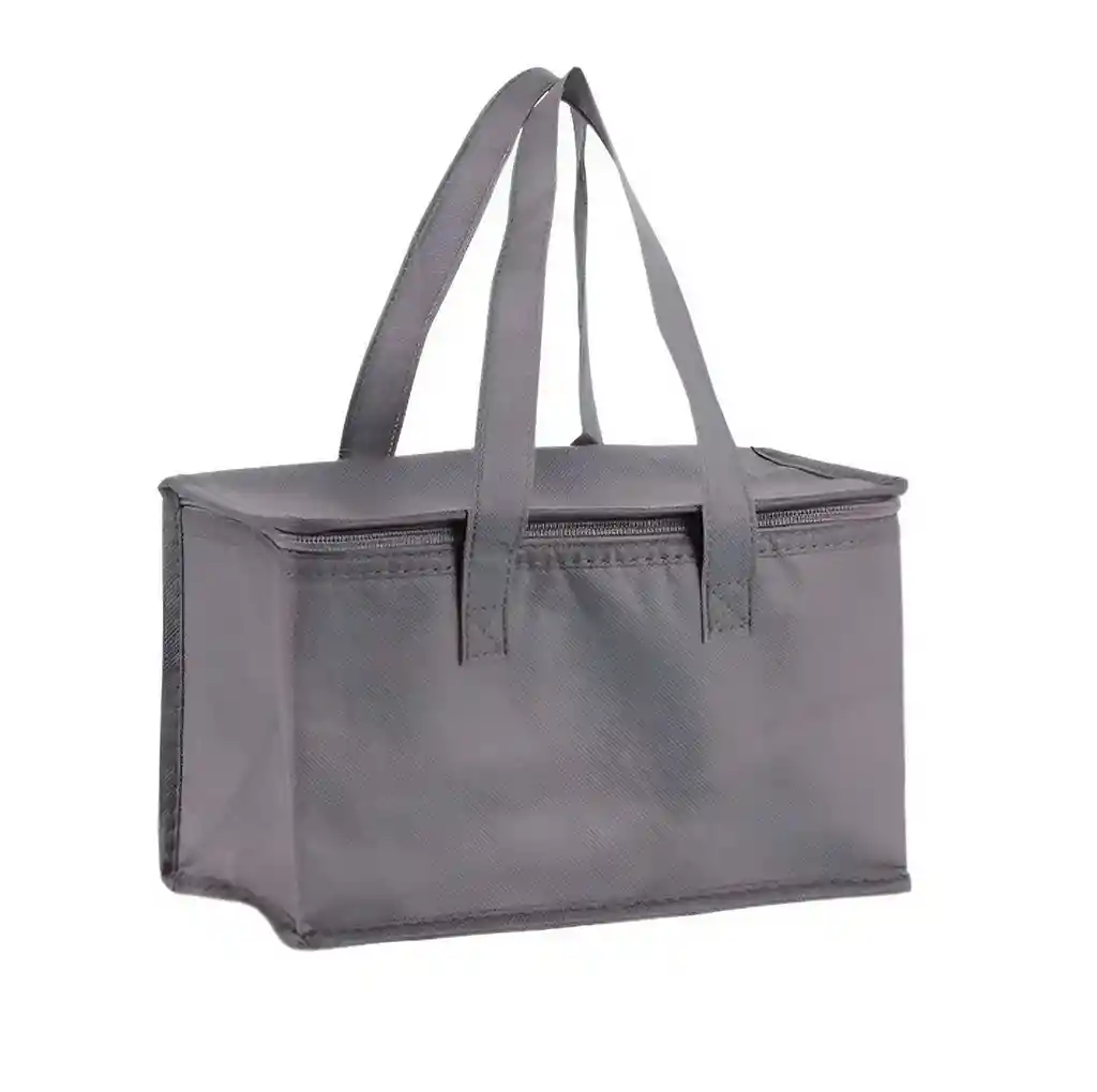 Bolso Lonchera Térmica Porta Comida Almuerzo Poliéster