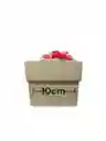 Caja Troquelada 26x10x10 Plegable Tapa Base