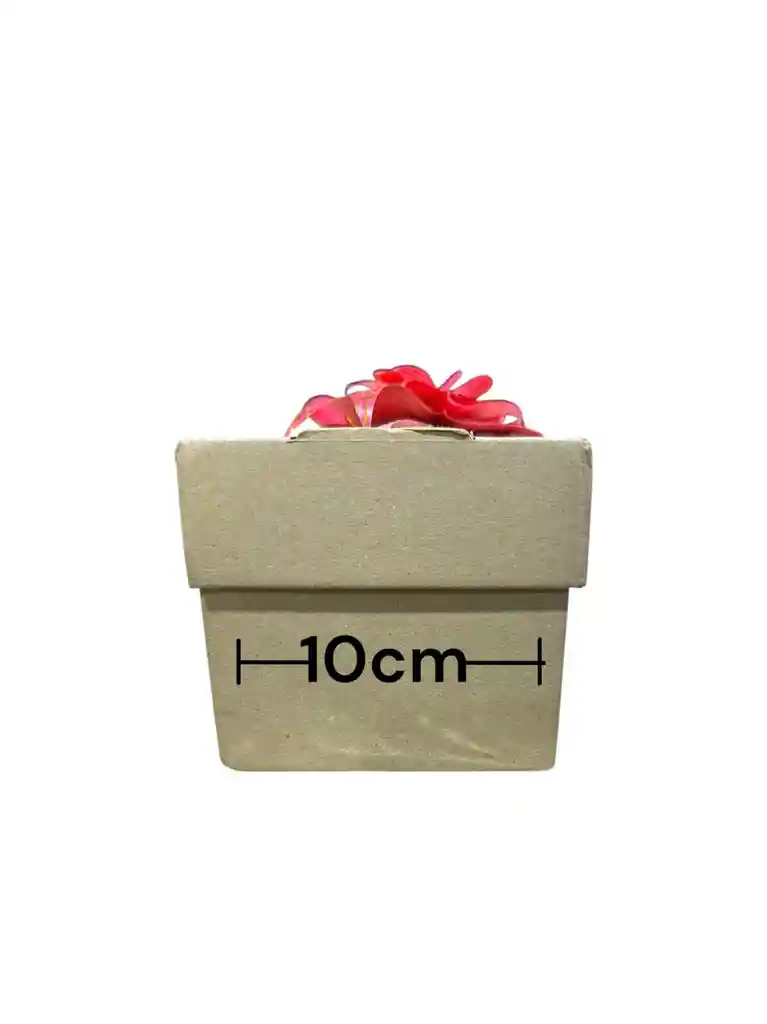 Caja Troquelada 26x10x10 Plegable Tapa Base