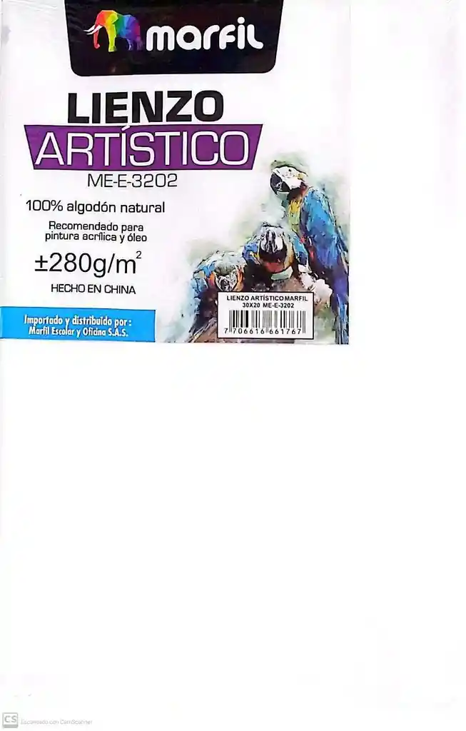 Lienzo Artistico 30 X 20