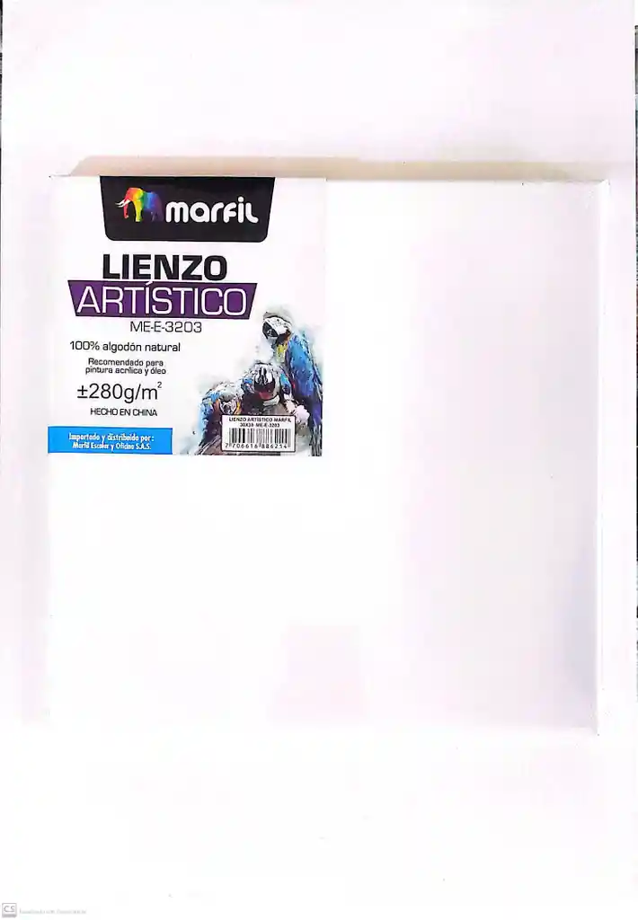 Lienzo Artistico 30 X 30