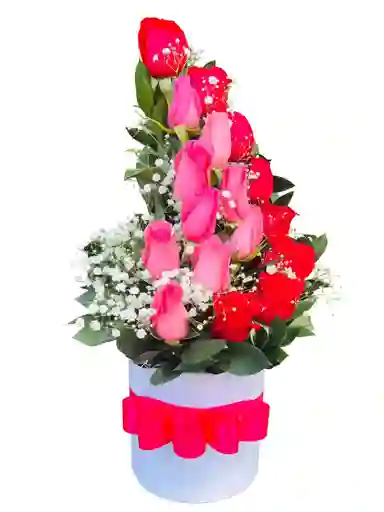 Caja De Rosas Espiral