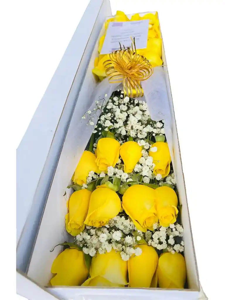 Caja De Rosas Rectangular