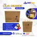 Caja De Carton Grande Carvajal 60x40x40 - Cajas Para Mudanzas